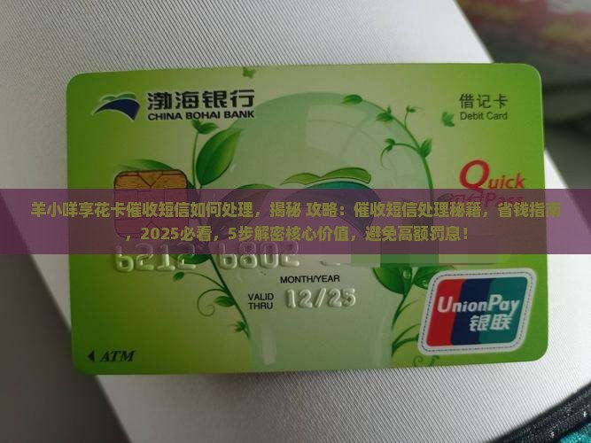 羊小咩享花卡催收短信如何处理