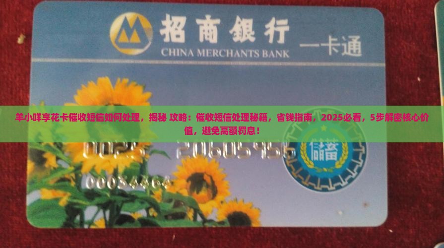 羊小咩享花卡催收短信如何处理