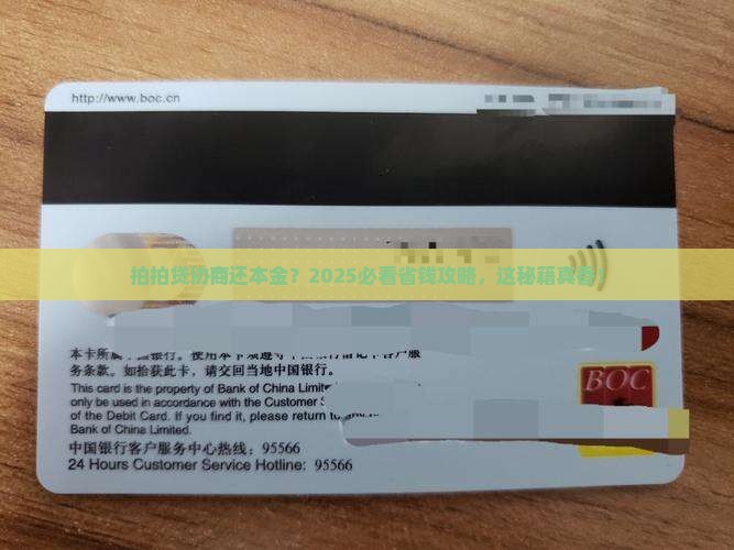 拍拍贷如何与我协商还本金