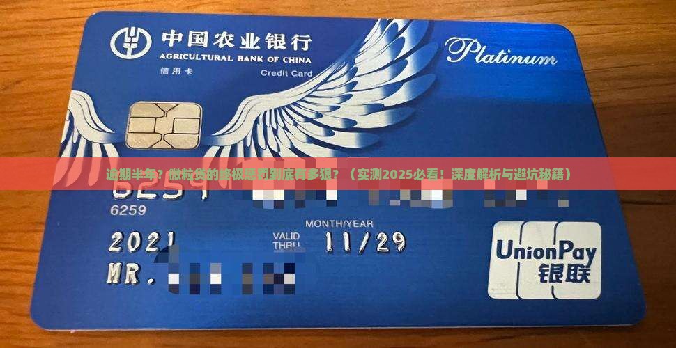 微粒贷逾期半年后会发生什么
