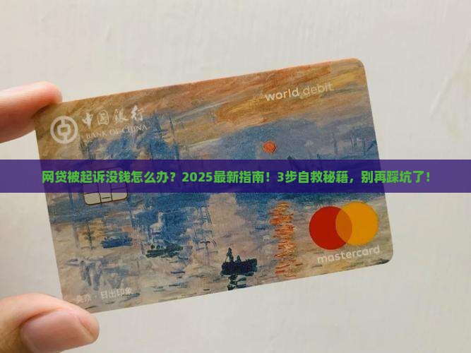 网贷被起诉了没钱怎么办应该如何处理