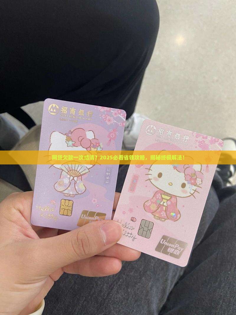 网贷欠款让一次结清怎么办