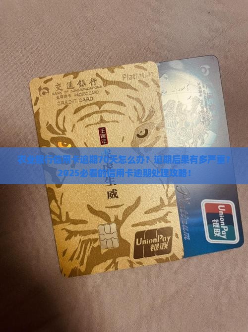 农业银行信用卡逾期70天如何处理 农业银行信用卡逾期70天如何处理