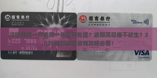 洋钱罐借一万逾期一年如何处理