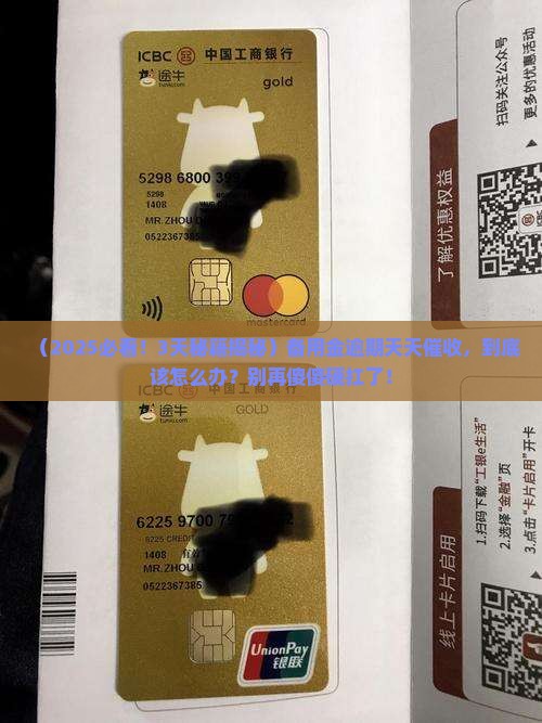 备用金逾期天天催收