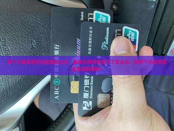 多个小额贷款平台逾期怎么办