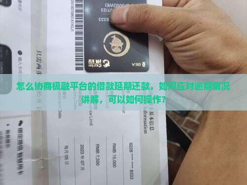 极融怎么协商延期还款的钱该怎么操作