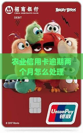 农业信用卡逾期两个月怎么处理
