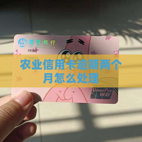 农业信用卡逾期两个月怎么处理