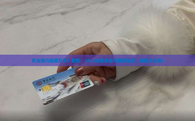 农业银行逾期五年会怎样处理