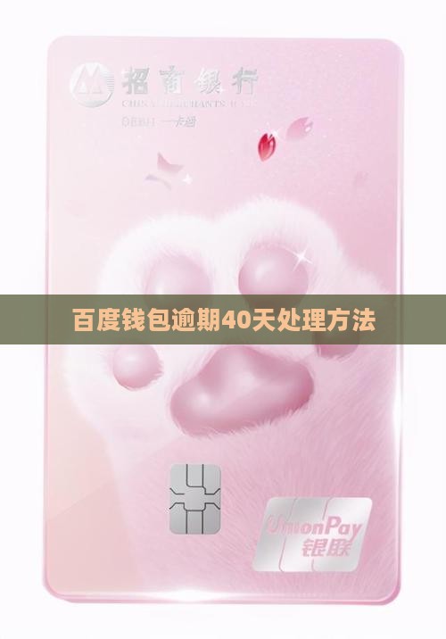 百度钱包逾期40天该怎么处理