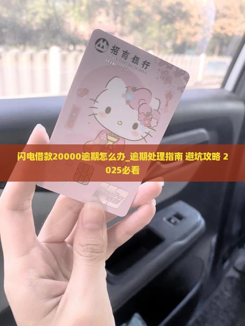 闪电借款20000逾期怎么办