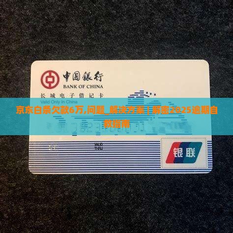 京东白条欠款6万怎么办