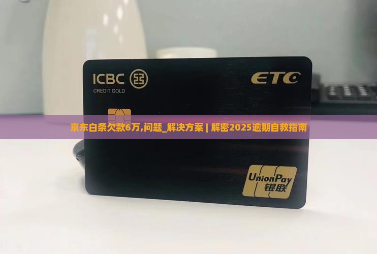 京东白条欠款6万怎么办