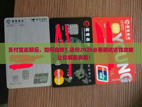 个人支付宝逾期经历怎么处理