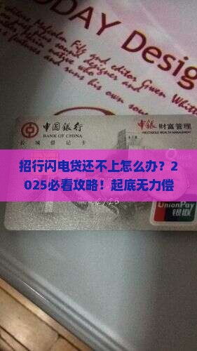 招行闪电贷无力偿还什么意思