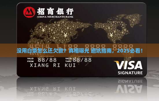 没有使用京东白条却欠款怎么办