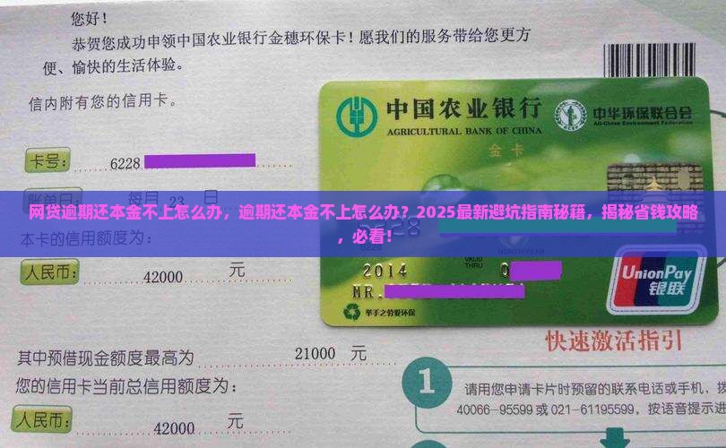 网贷逾期还本金不上怎么办
