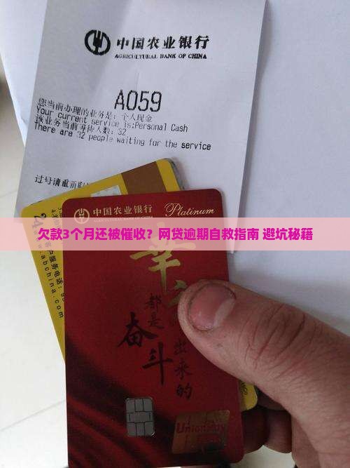 网络分期贷欠款超过三个月如何处理