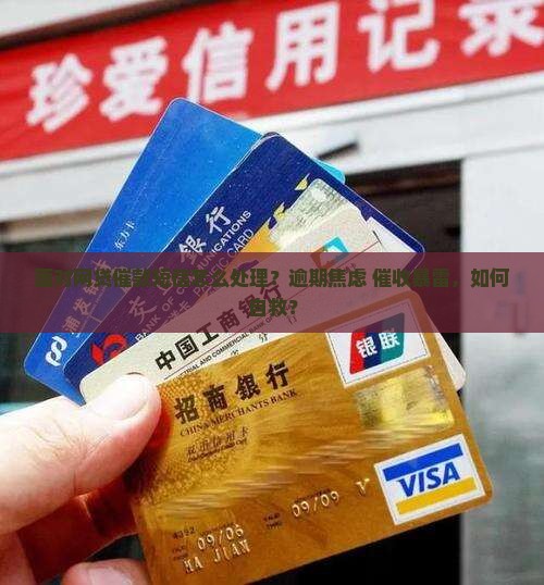 面对网贷催款短信怎么处理