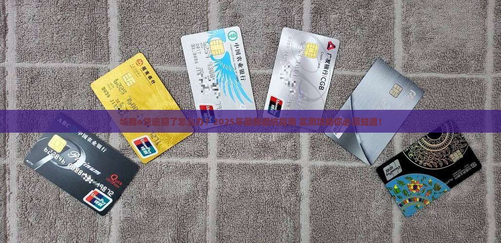 华商农村信用社华商e贷逾期如何处理
