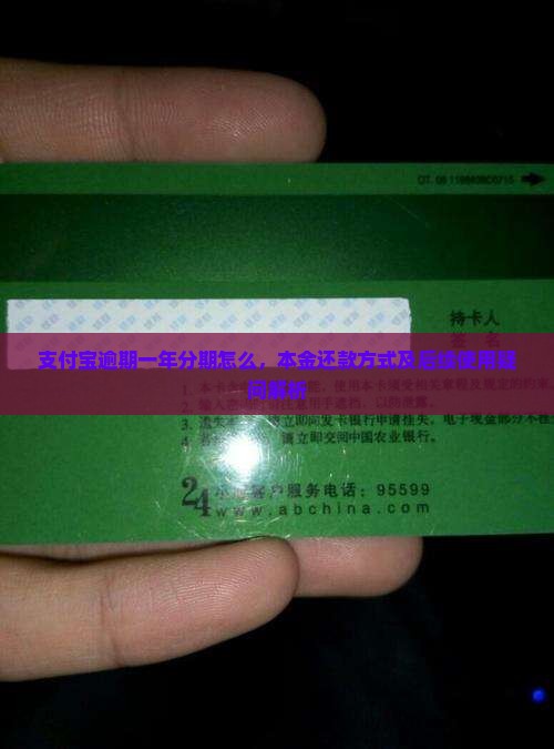 支付宝逾期一年分期怎么，本金还款方式及后续使用疑问解析