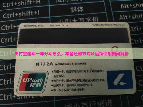 支付宝逾期一年分期怎么，本金还款方式及后续使用疑问解析