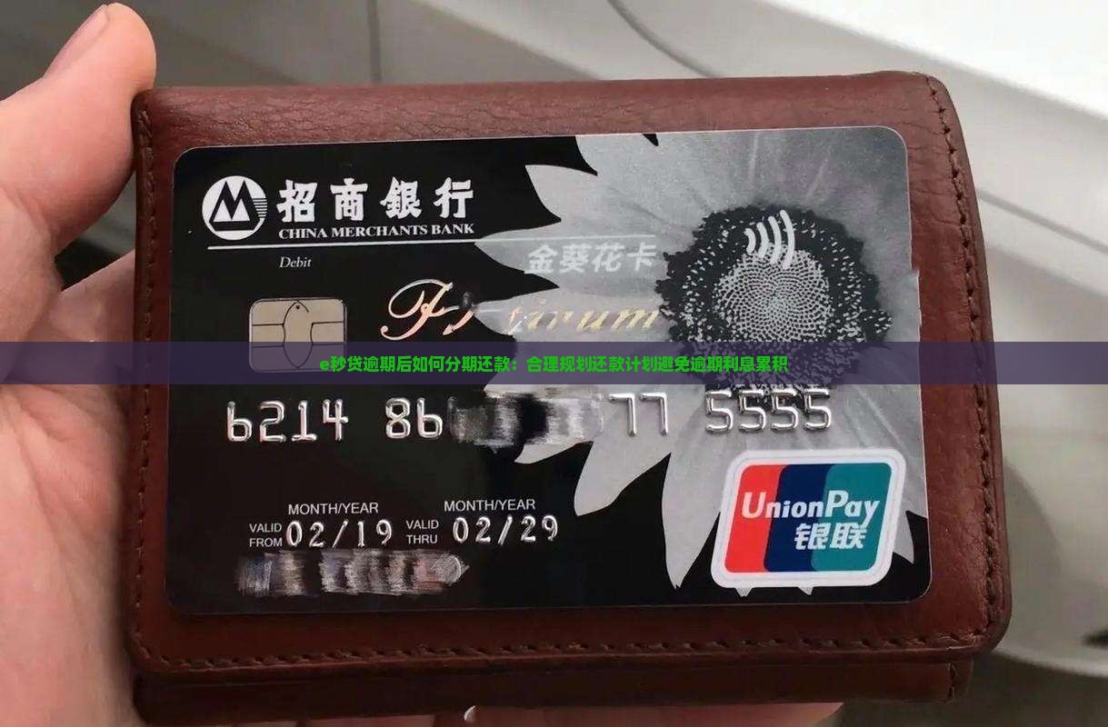 e秒贷逾期后如何分期还款：合理规划还款计划避免逾期利息累积