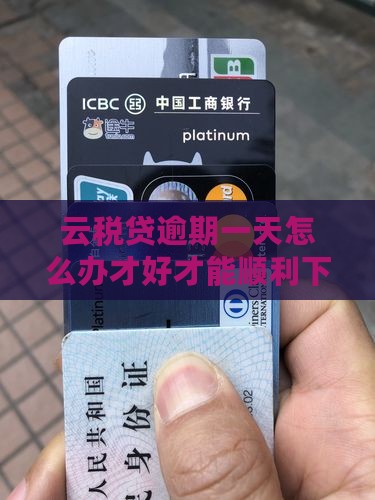 云税贷逾期一天怎么办才好才能顺利下款