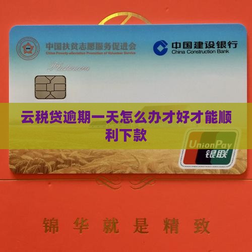 云税贷逾期一天怎么办才好才能顺利下款
