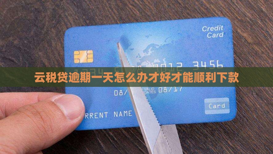 云税贷逾期一天怎么办才好才能顺利下款