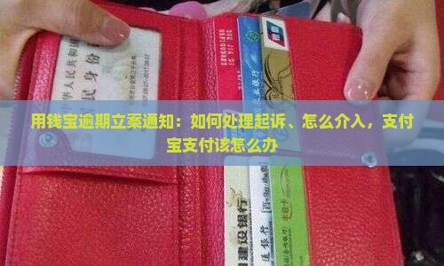 用钱宝逾期立案通知：如何处理起诉、怎么介入，支付宝支付该怎么办