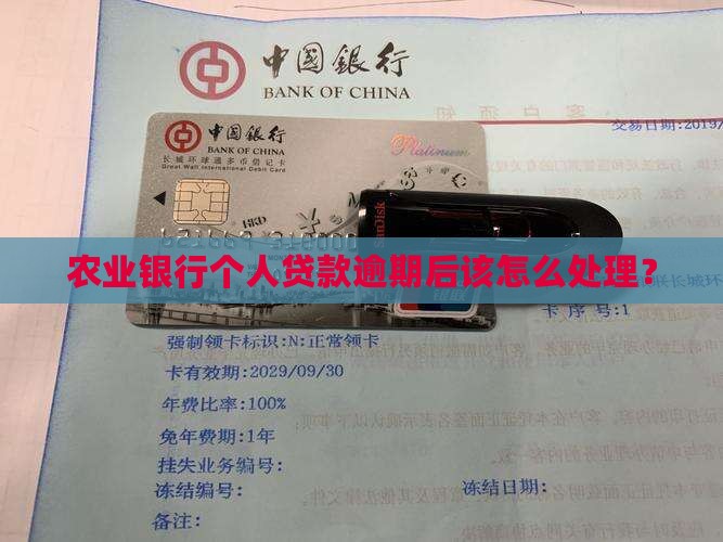 农业银行个人贷款逾期后该怎么处理？