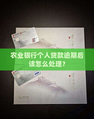 农业银行个人贷款逾期后该怎么处理？