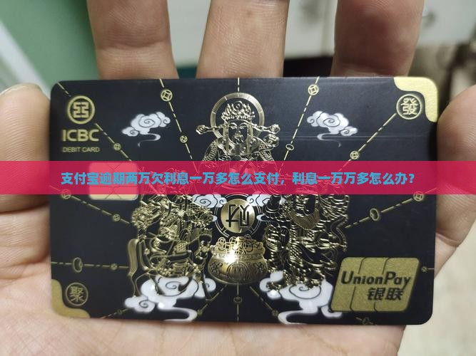 支付宝逾期两万欠利息一万多怎么支付，利息一万万多怎么办？
