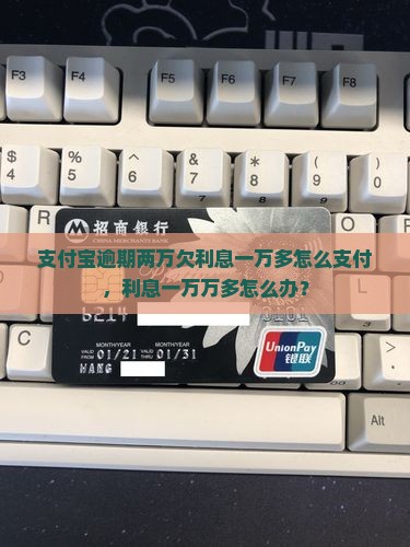 支付宝逾期两万欠利息一万多怎么支付，利息一万万多怎么办？