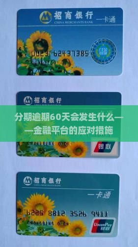 分期逾期60天会发生什么——金融平台的应对措施