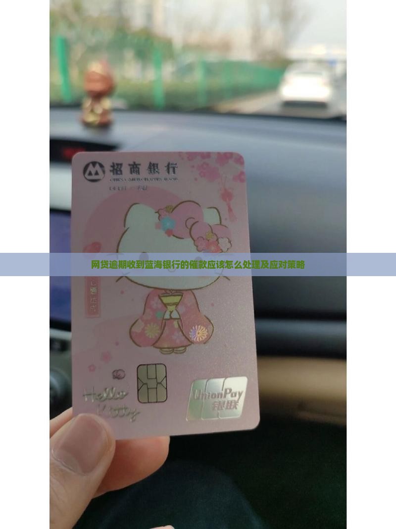 网贷逾期收到蓝海银行的催款应该怎么处理及应对策略