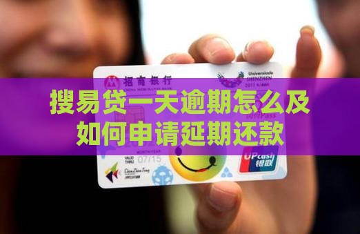 搜易贷一天逾期怎么及如何申请延期还款