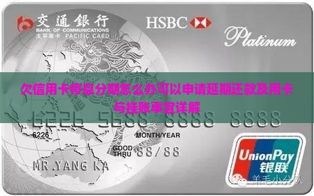 欠信用卡停息分期怎么办可以申请延期还款及用卡与挂账事宜详解