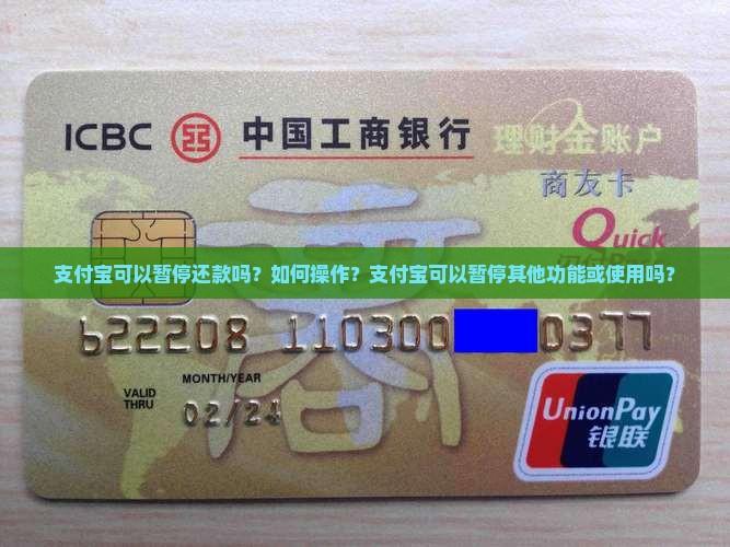 支付宝可以暂停还款吗？如何操作？支付宝可以暂停其他功能或使用吗？