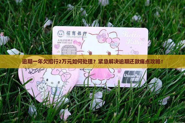 逾期一年欠招行2万元如何处理？紧急解决逾期还款痛点攻略！