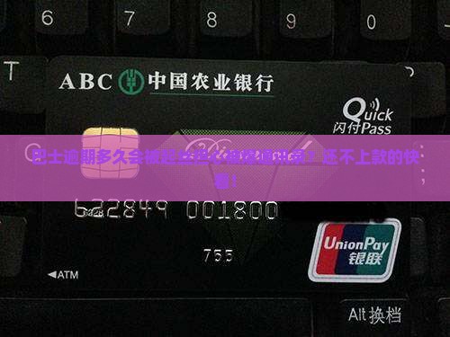 巴士逾期多久会被起丝担心被爆通讯录？还不上款的快看！