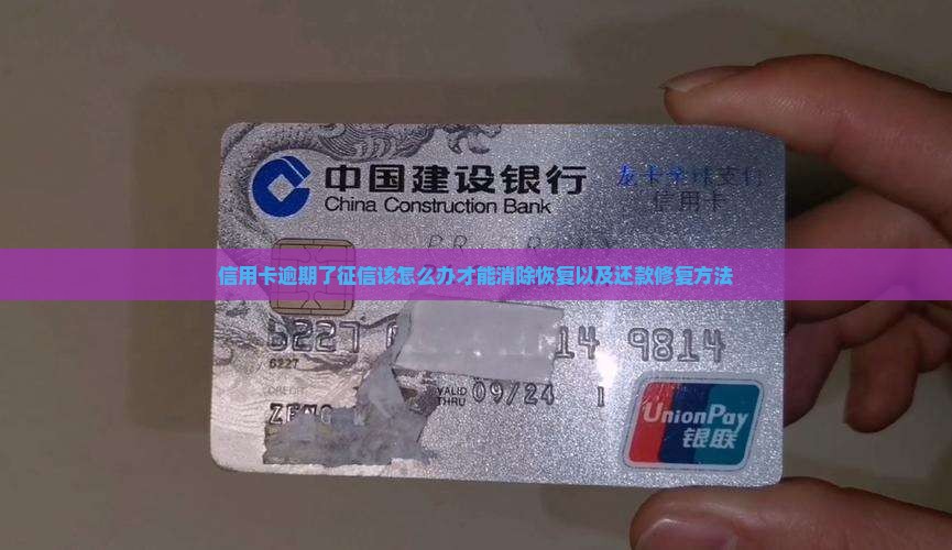 信用卡逾期了征信该怎么办才能消除恢复以及还款修复方法
