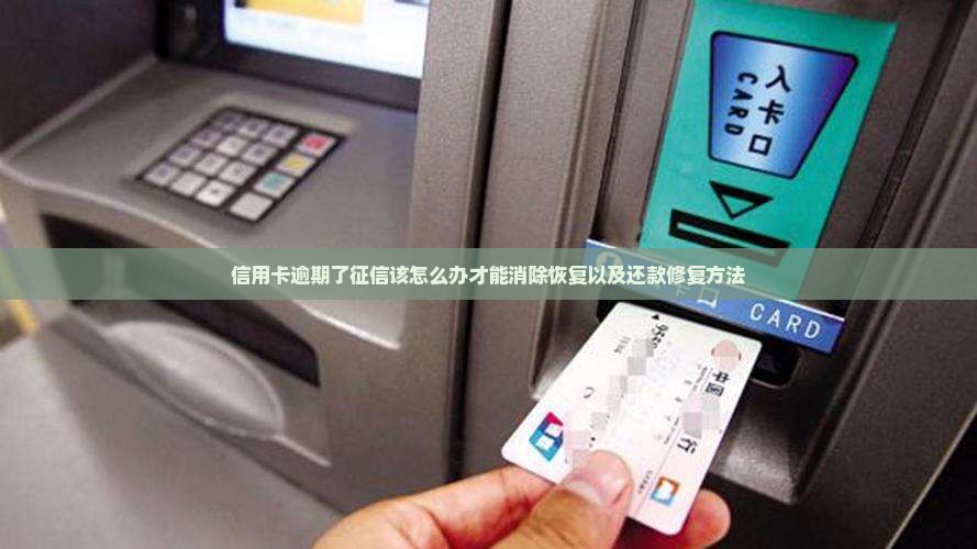 信用卡逾期了征信该怎么办才能消除恢复以及还款修复方法