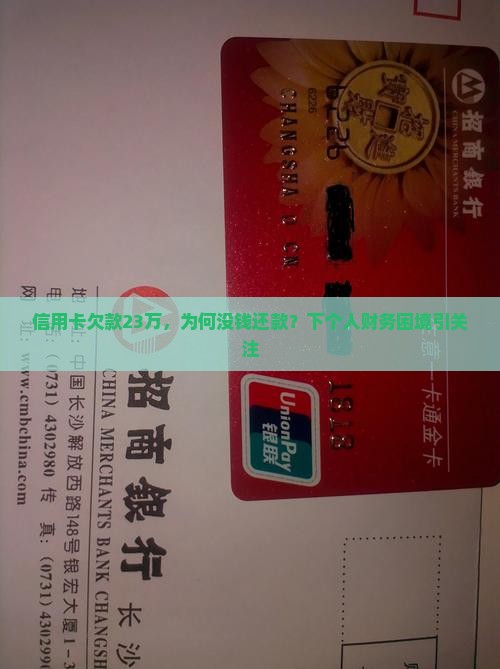 信用卡欠款23万，为何没钱还款？下个人财务困境引关注