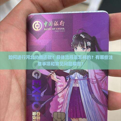 如何进行河北协商还款？具体流程是怎样的？有哪些注意事项和常见问题解答？