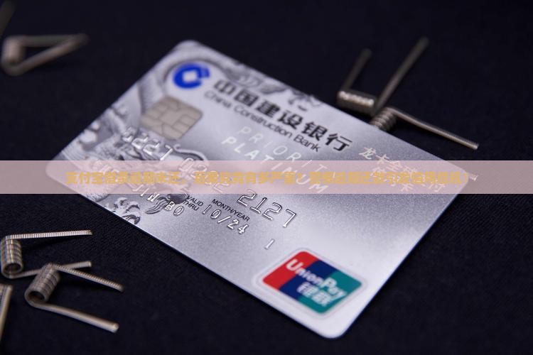 支付宝借条逾期未还，后果究竟有多严重？警惕逾期还款引发信用危机！