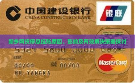 新乡网贷停息挂账原因、影响及有效解决策略探讨