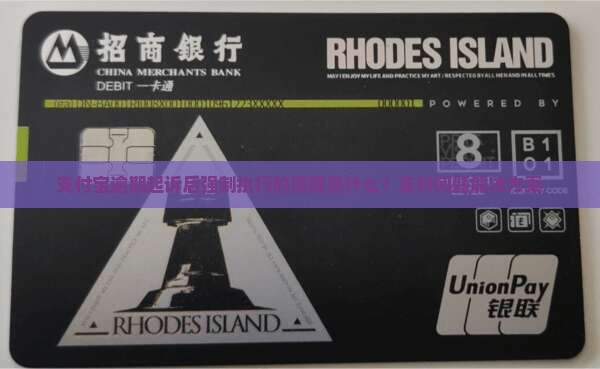 支付宝逾期起诉后强制执行的流程是什么？支付问题解决方案